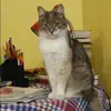 Отзыв от Варвара Ефремова